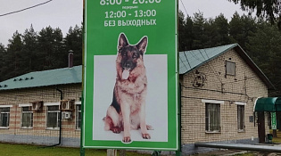 Ветеринарными специалистами ОГБУ «Костромская городская станция по борьбе с болезнями животных» организовано проведение внеклассных мероприятий для учащихся общеобразовательных учреждений города Костромы