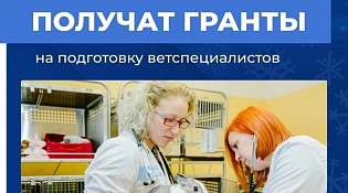 Программа «Агропрофи» и кто сможет получить гранты