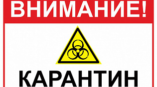 О возникновении африканской чумы свиней на территории Макарьевского муниципального района