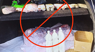 О рисках, связанных с приобретением продуктов в местах несанкционированной торговли